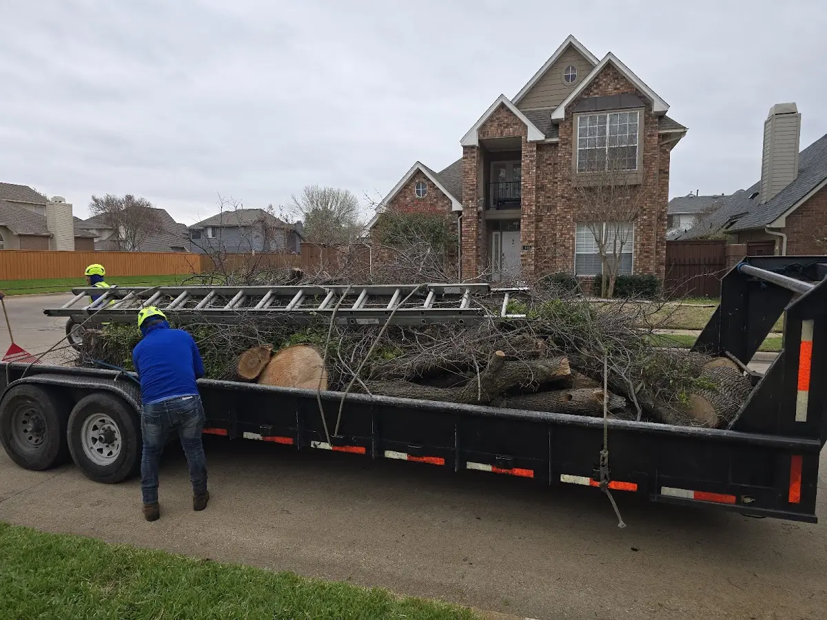 Expert Tree Fertilization with proper safety equipment in Bliss